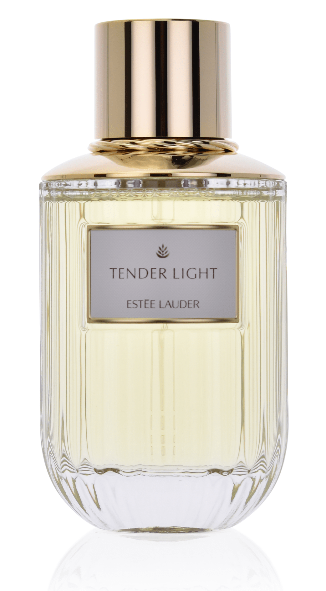 Estee Lauder Tender Light 100 ml Eau de Parfum 