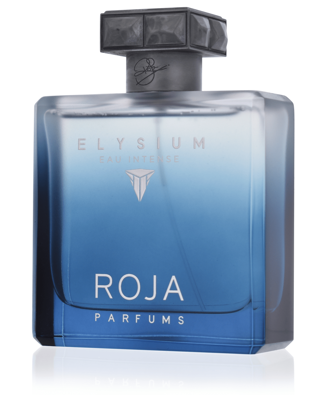 Roja Parfums Elysium Eau Intense pour Homme 100 ml Eau de Parfum 