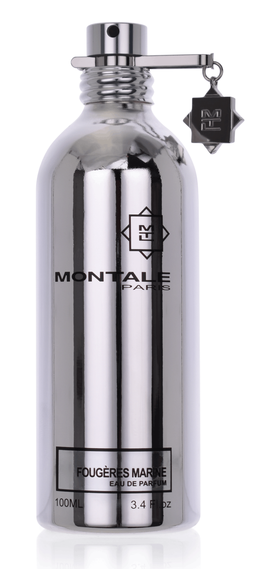 Montale Paris Fougeres Marine 100 ml Eau de Parfum  