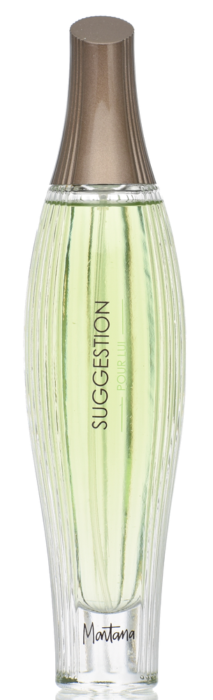 Montana Suggestion pour Lui 100 ml Eau de Toilette Spray