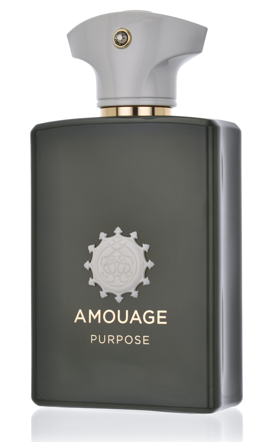 Amouage Purpose 100 ml Eau de Parfum  